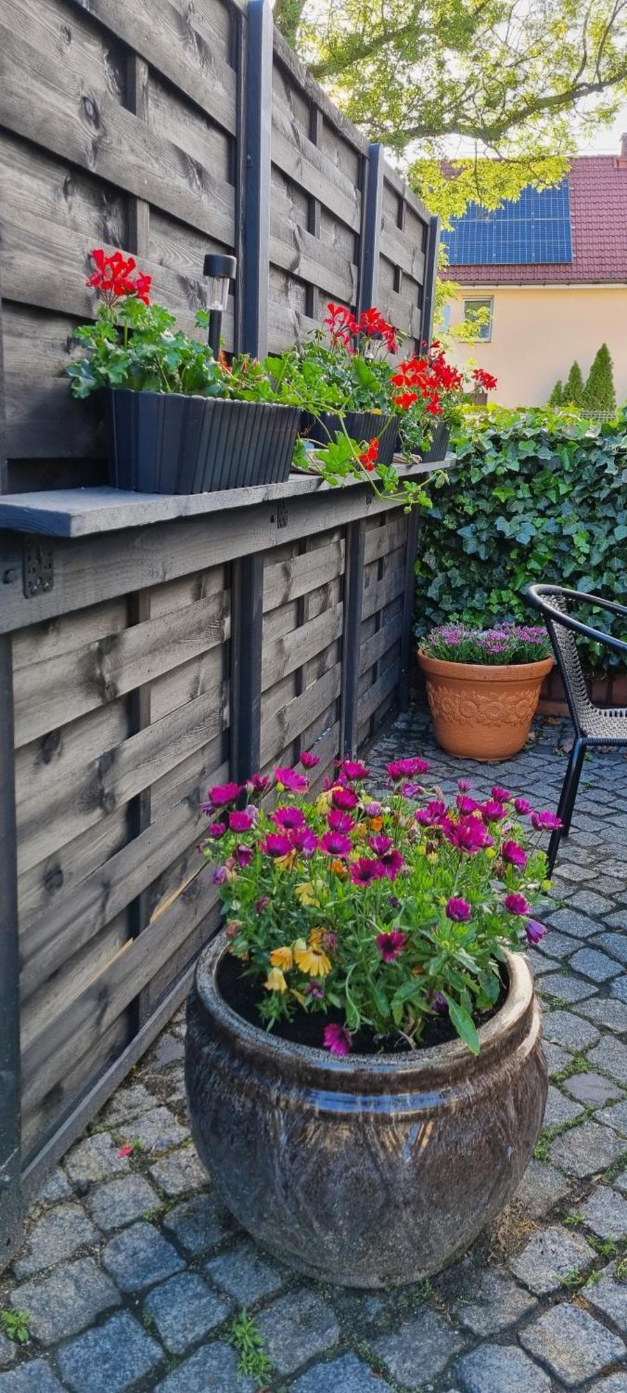 Noclegi Na Lacznej Świebodzice Extérieur photo